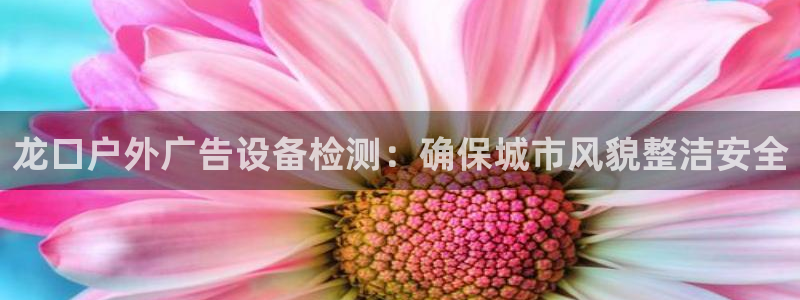 杏宇平台招商
