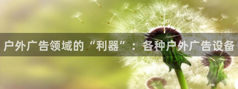 杏宇平台代理多少钱一个