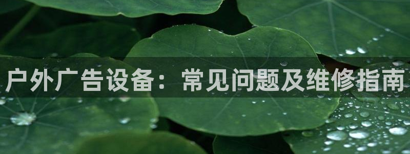 杏宇平台登录步骤图