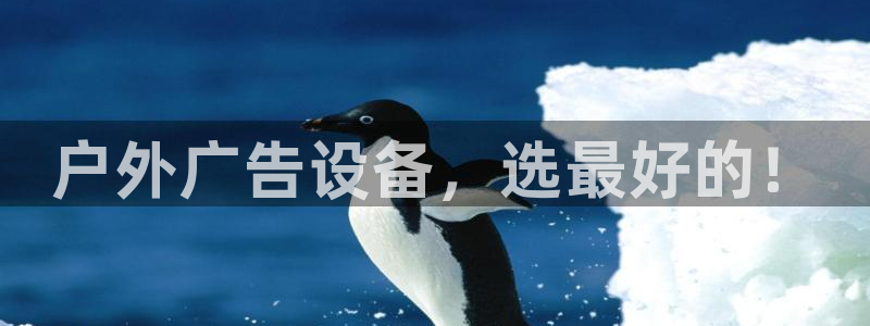 杏宇平台怎么样知乎