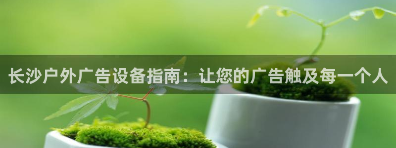 杏宇平台代理怎么赚钱快