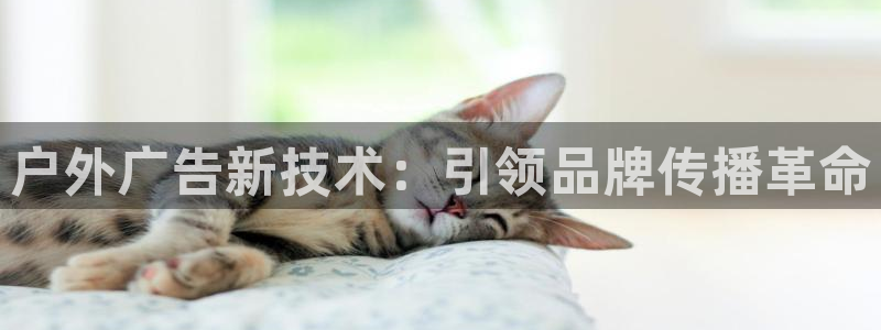 杏宇平台招商