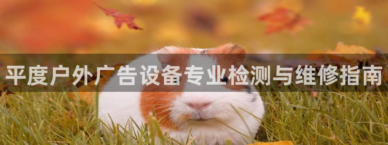 杏宇平台登录步骤图：平度户外广告设备专业检测与维修指南