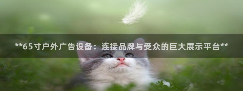 杏宇平台登录步骤：**65寸户外广告设备：连接品牌与受众的巨大展示平台**