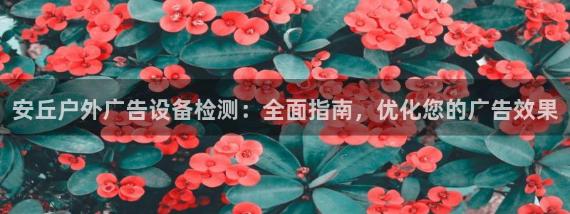 杏宇平台代理怎么赚钱的