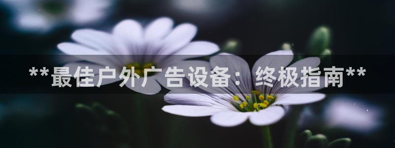 杏宇代理注册