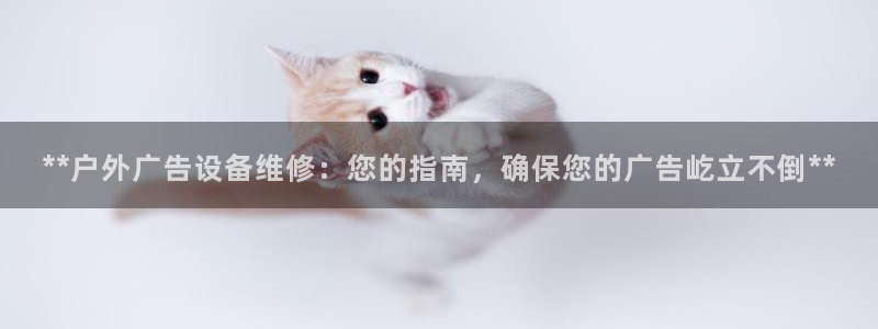 杏宇平台官网注册