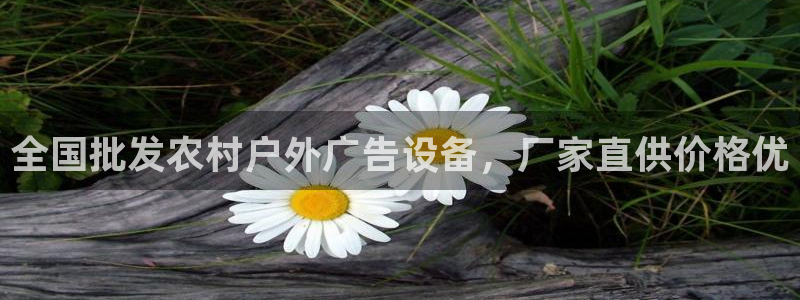 杏宇平台开户