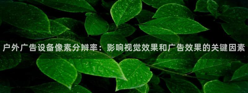 杏宇平台怎么样