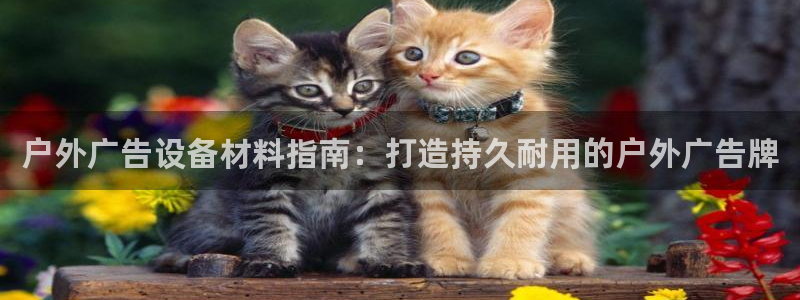 杏宇平台总代理电话