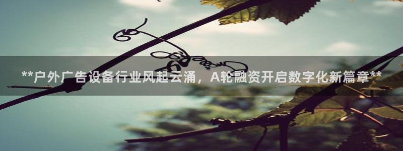 杏宇平台代理怎么赚钱的
