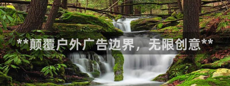 杏宇平台总代理