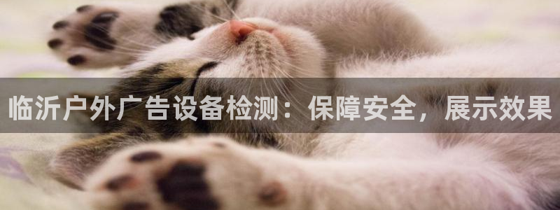 杏宇平台怎么样