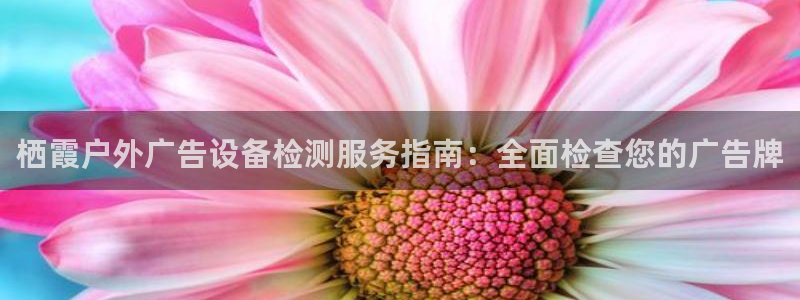 杏宇代理注册