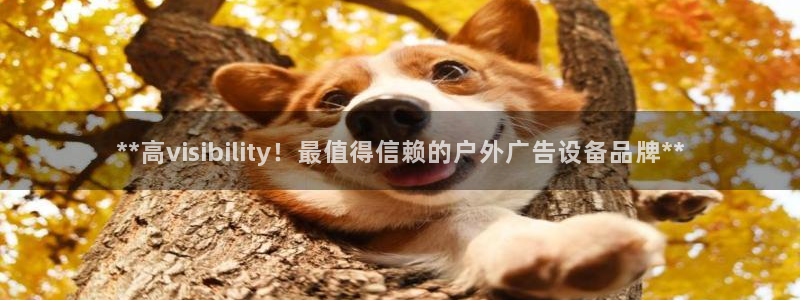 杏宇平台登录步骤