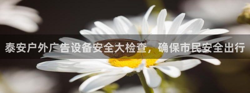 杏宇平台代理怎么样