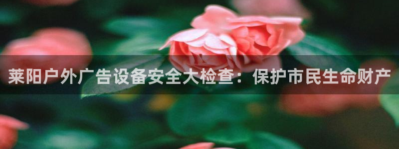 杏宇平台代理怎么赚钱快