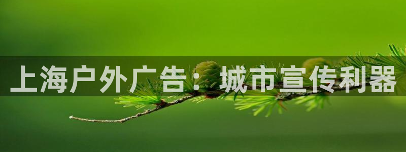 杏宇平台怎么样知乎