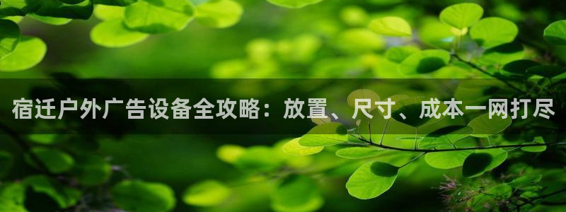 杏宇平台主管