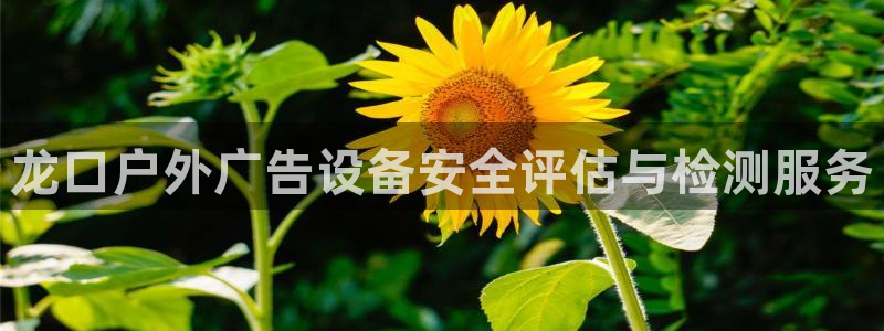 杏宇平台代理怎么赚钱快