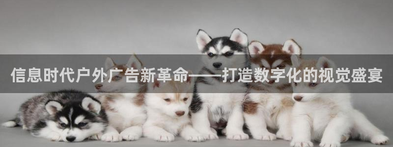 杏宇平台代理怎么样啊