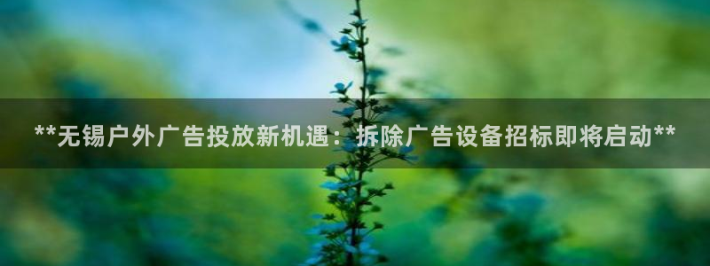 杏宇平台官网注册