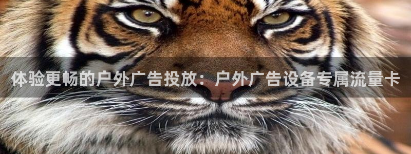 杏宇平台总代理是谁