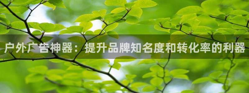 杏宇平台总代理电话