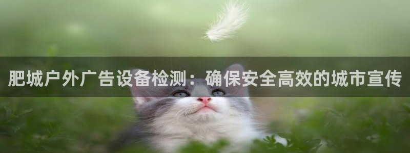 杏宇平台代理怎么样可靠吗