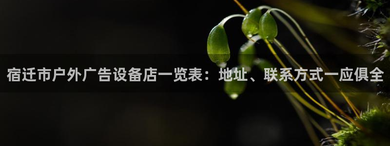 杏宇平台代理怎么样赚钱