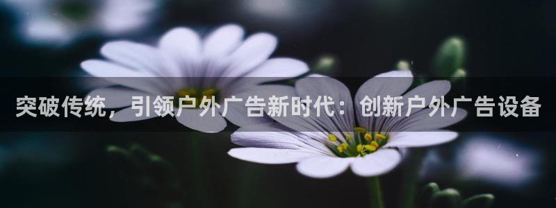 杏宇平台客服