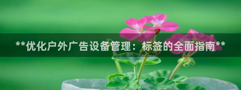 杏宇平台代理怎么赚钱：**优化户外广告设备管理：标签的全面指南**