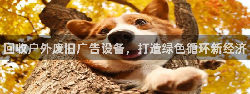 杏宇平台招商怎么样