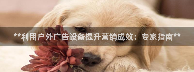 杏宇平台代理怎么赚钱快