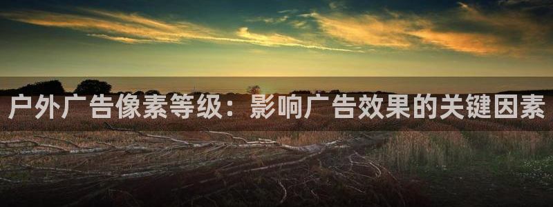 杏宇平台登陆