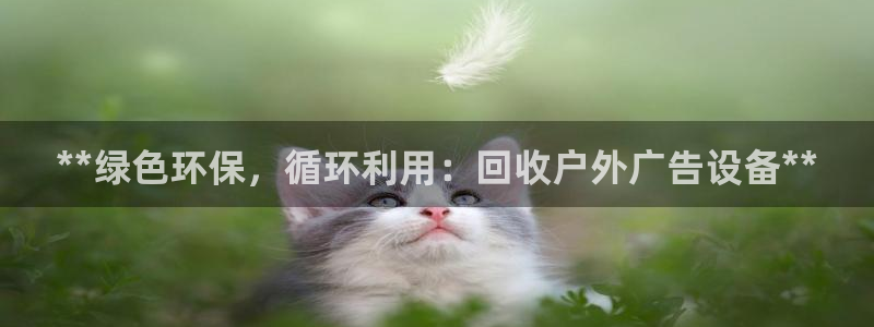杏宇平台登录步骤图