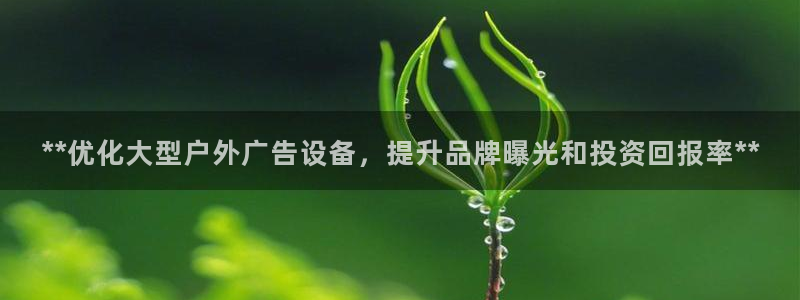杏宇平台代理：**优化大型户外广告设备，提升品牌曝光和投资回报率**