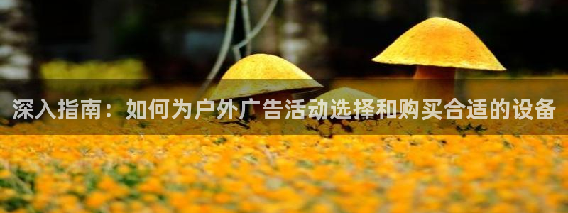 杏宇平台招商