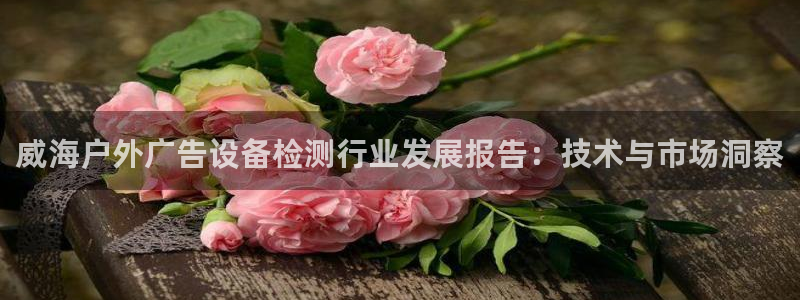 杏宇平台客服：威海户外广告设备检测行业发展报告：技术与市场洞察