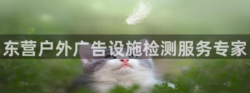 杏宇平台登陆：东营户外广告设施检测服务专