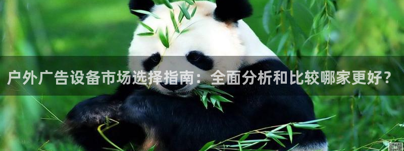 杏宇平台怎么样