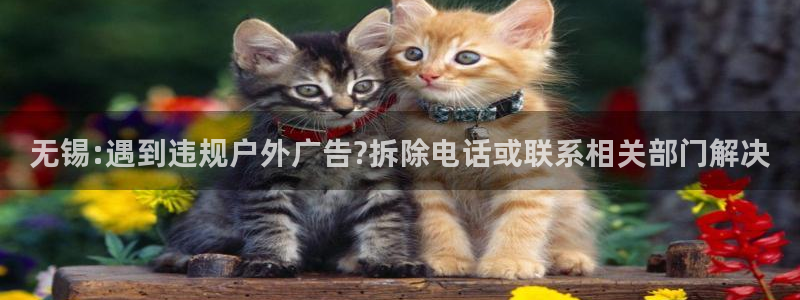 杏宇官方平台官网：无锡:遇到违规户外广告