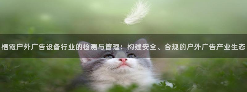 杏宇平台提现为什么这么久呢：栖霞户外广告