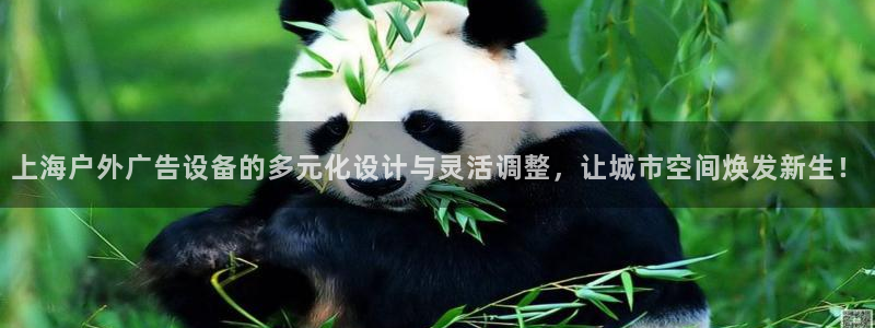 杏宇平台登录步骤图：上海户外广告设备的多