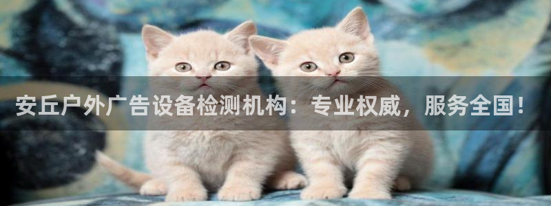 杏宇代理注册：安丘户外广告设备检测机构：