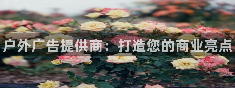 杏宇平台好吗：户外广告提供商：打造您的商