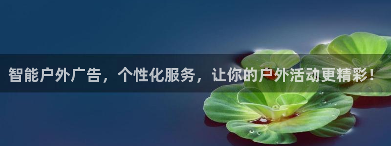 杏宇平台好吗：智能户外广告，个性化服务，