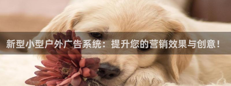 杏宇代理注册：新型小型户外广告系统：提升