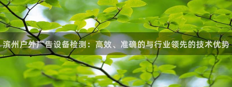 杏宇平台招商：滨州户外广告设备检测：高效