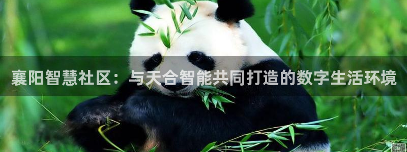 杏宇平台测速链接：襄阳智慧社区：与天合智